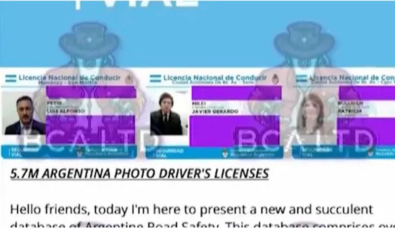 Robaron la base de datos de todas las licencias de conducir del país y expusieron el carnet de Milei